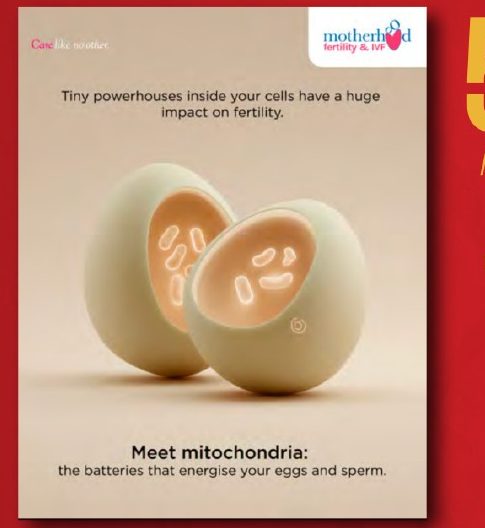 Motherhood creative: Meet mitochondria, the batteries that energise your eggs and sperm